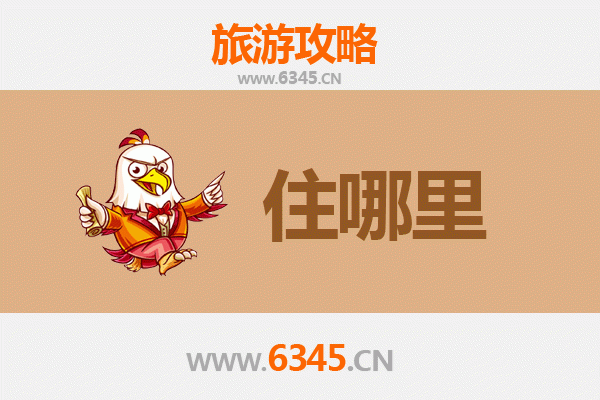 白城大安旅游民宿全攻略：沉浸式体验草原水乡的静谧与野趣